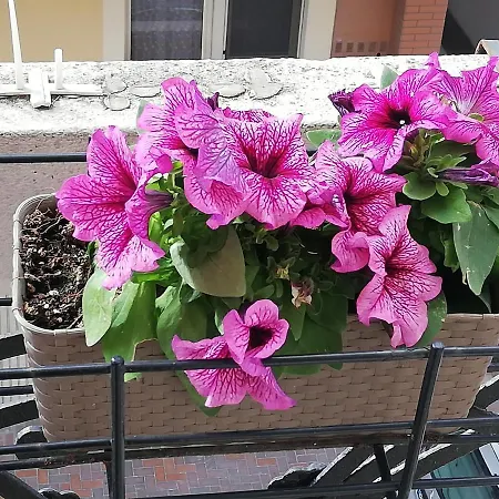 Da Zio Giovanni Apartmán